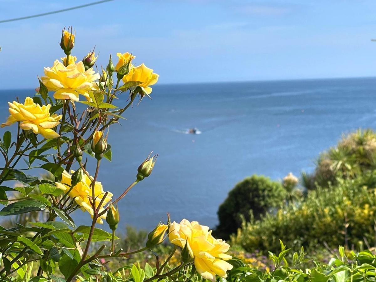 Mousehole Cottage Hikkaduwa Dış mekan fotoğraf